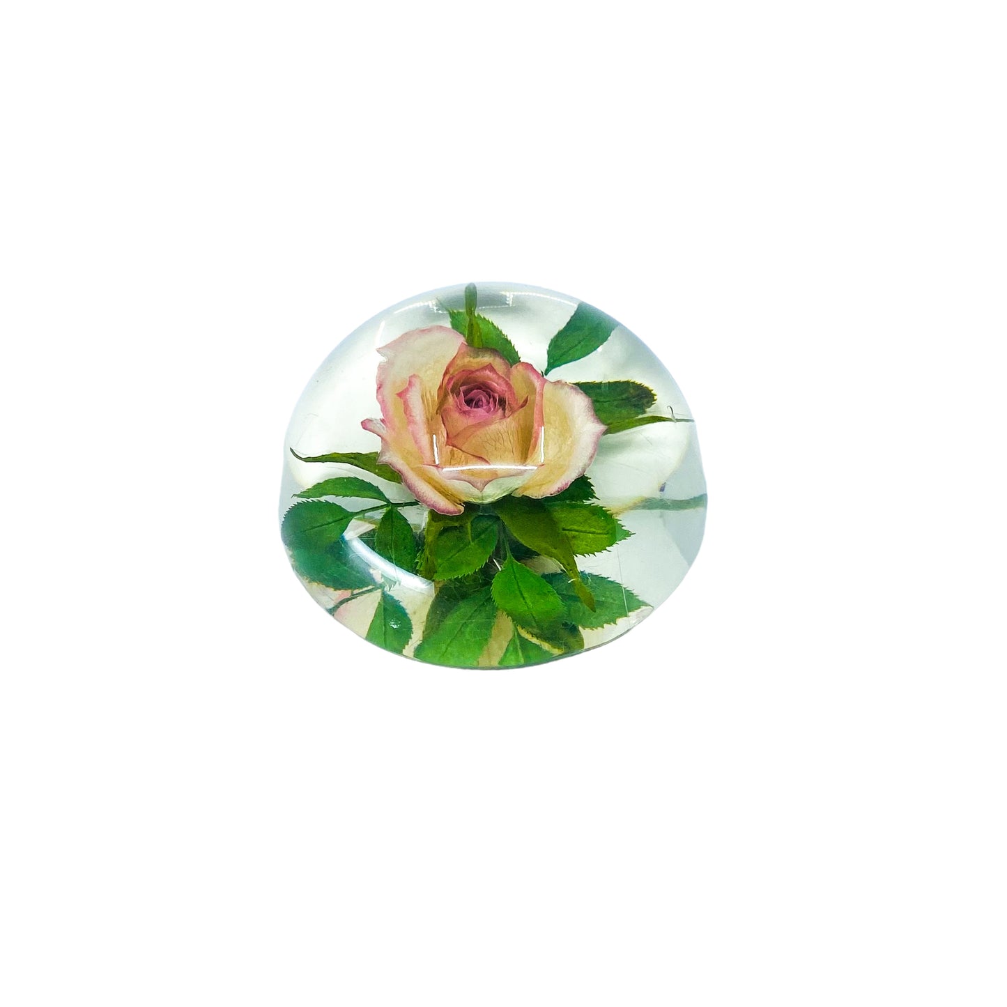 Floral Rose Lucite Paperweight