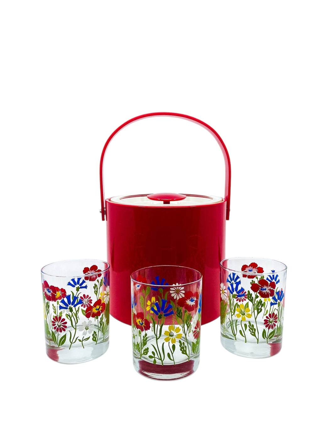 Georges Briard Red Vinyl & Floral Glasses
