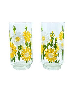 Vintage Libbey Daisy Glasses, Pair