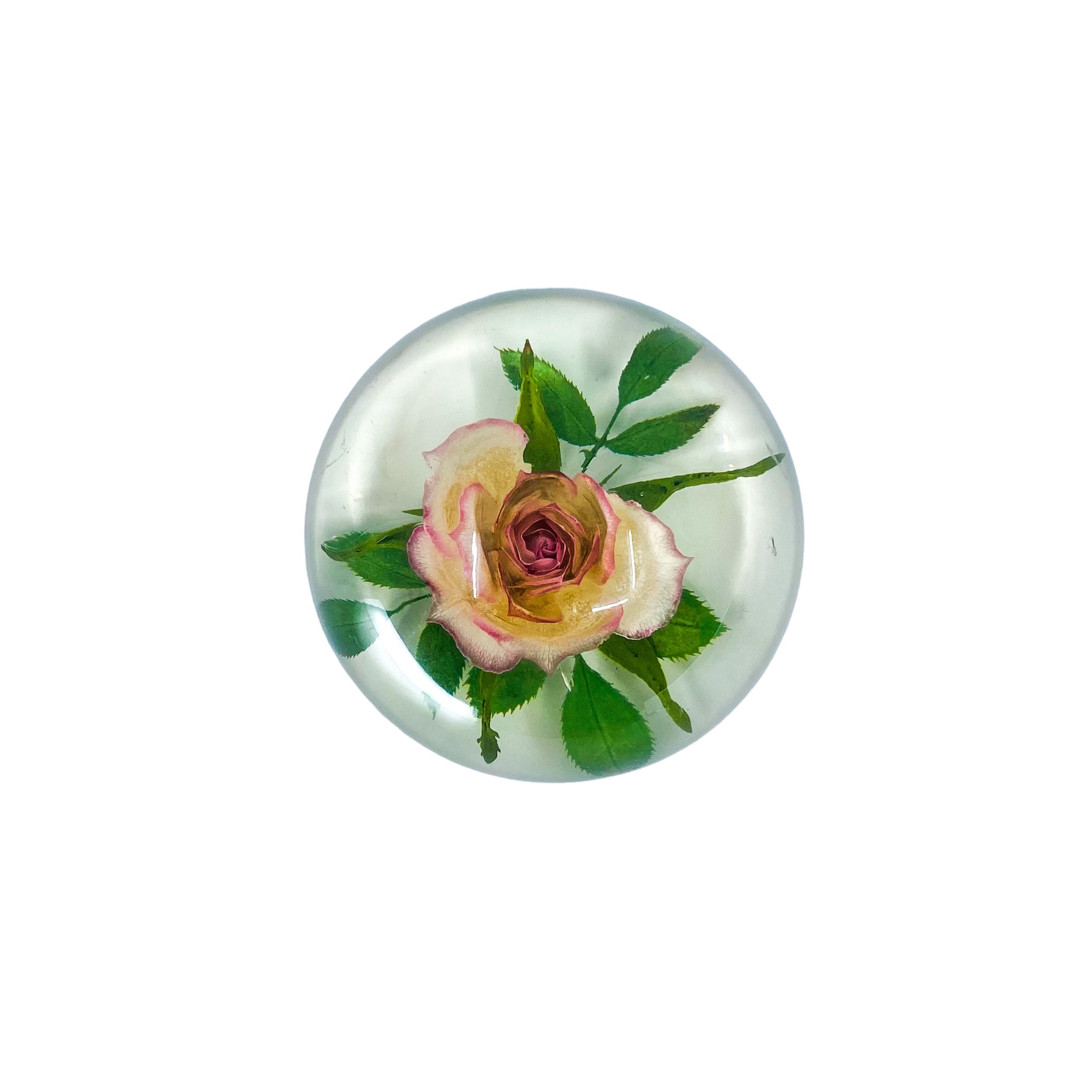 Floral Rose Lucite Paperweight