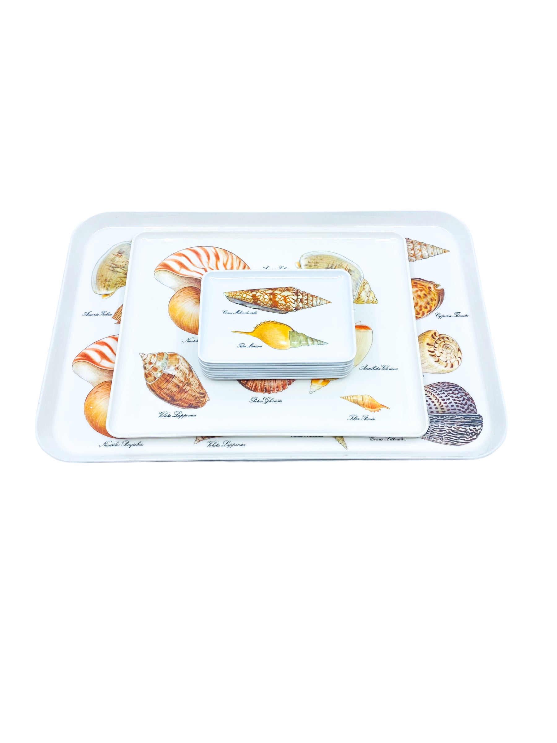 Vintage Melamine Shell Serving Tray Set, Italy (1 Large, 1 Medium, 8 Small)