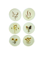 Vintage Pressed Flowers Coaster Set, S/6