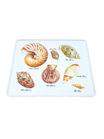 Vintage Melamine Shell Serving Tray Set, Italy (1 Large, 1 Medium, 8 Small)