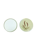 Vintage Pressed Flowers Coaster Set, S/6
