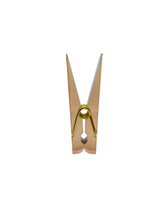Peachy Pink Lucite & Gold Jumbo Clothespin Clip Note Holder