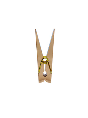 Peachy Pink Lucite & Gold Jumbo Clothespin Clip Note Holder