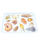 Vintage Melamine Shell Serving Tray Set, Italy (1 Large, 1 Medium, 8 Small)