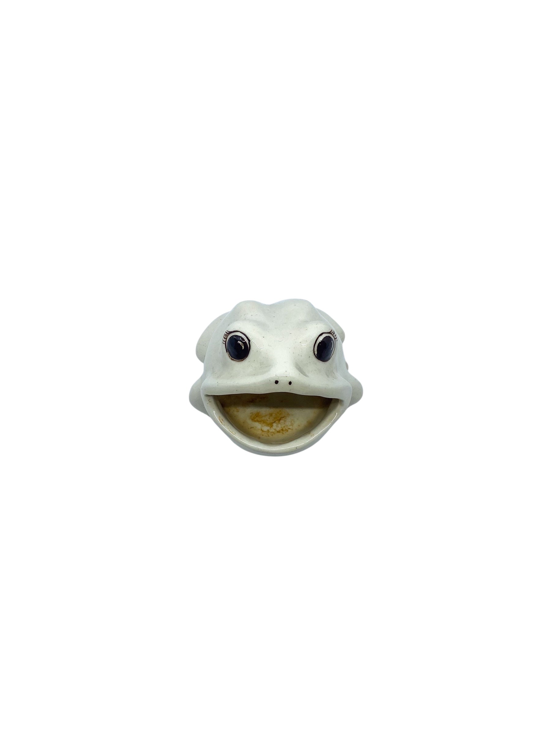 Vintage Ceramic Frog Sponge Holder
