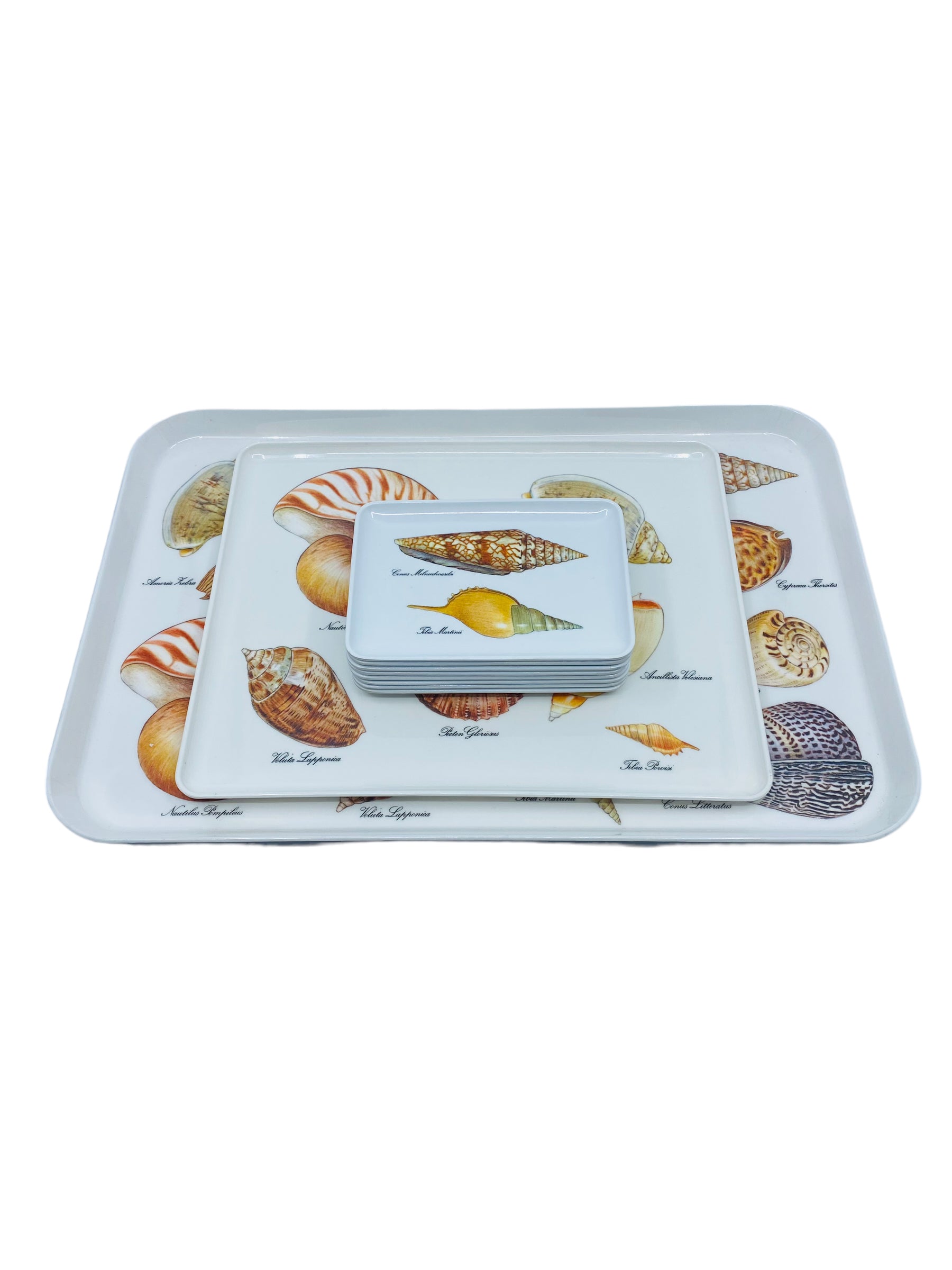 Vintage Melamine Shell Serving Tray Set, Italy (1 Large, 1 Medium, 8 Small)