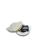 Soapstone Shell Box / Ashtray