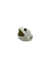 Vintage Ceramic Frog Sponge Holder