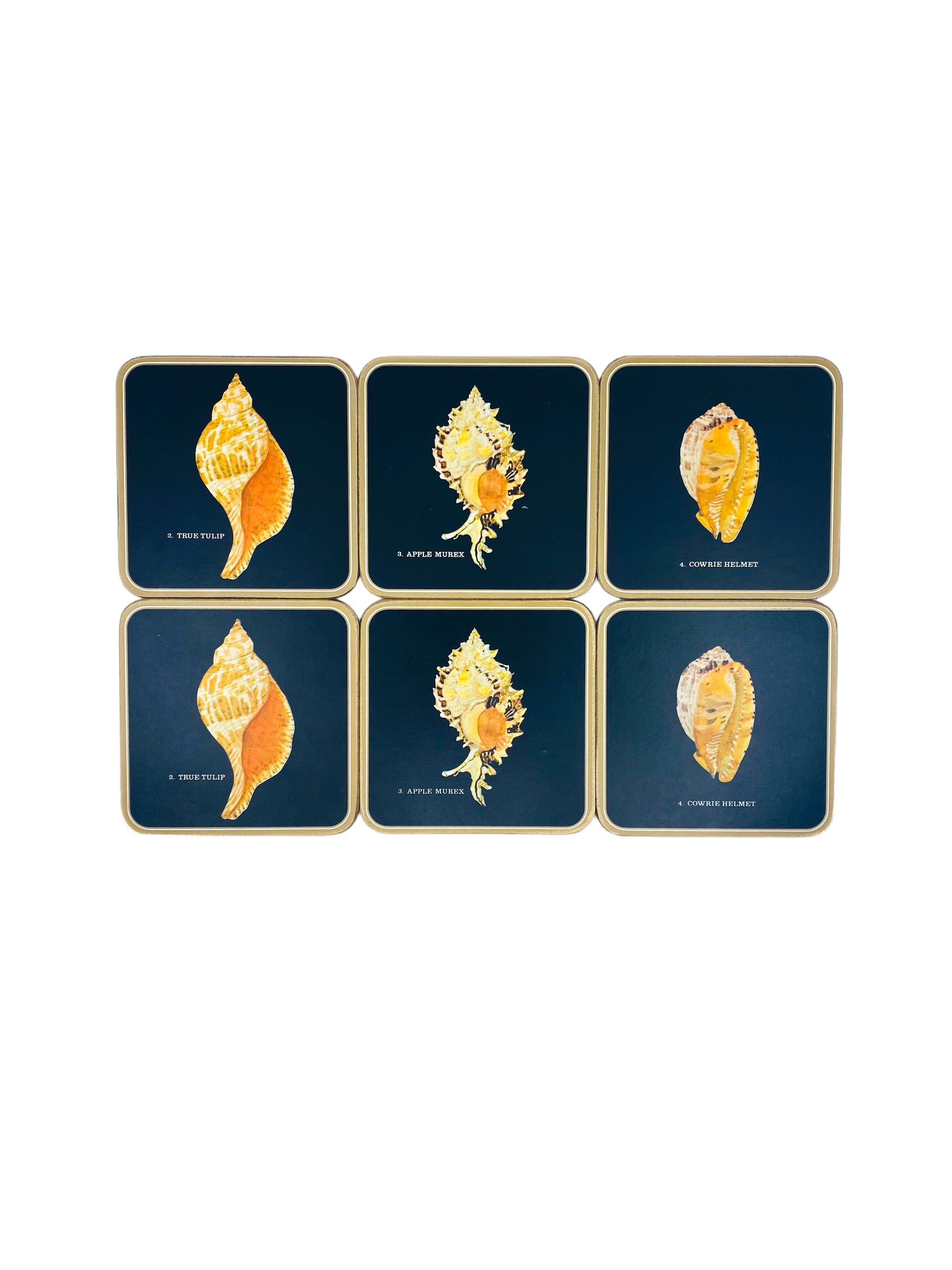 Pimpernel Fayreings “Bahamian Shells” Set of 6