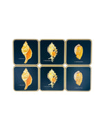 Pimpernel Fayreings “Bahamian Shells” Set of 6
