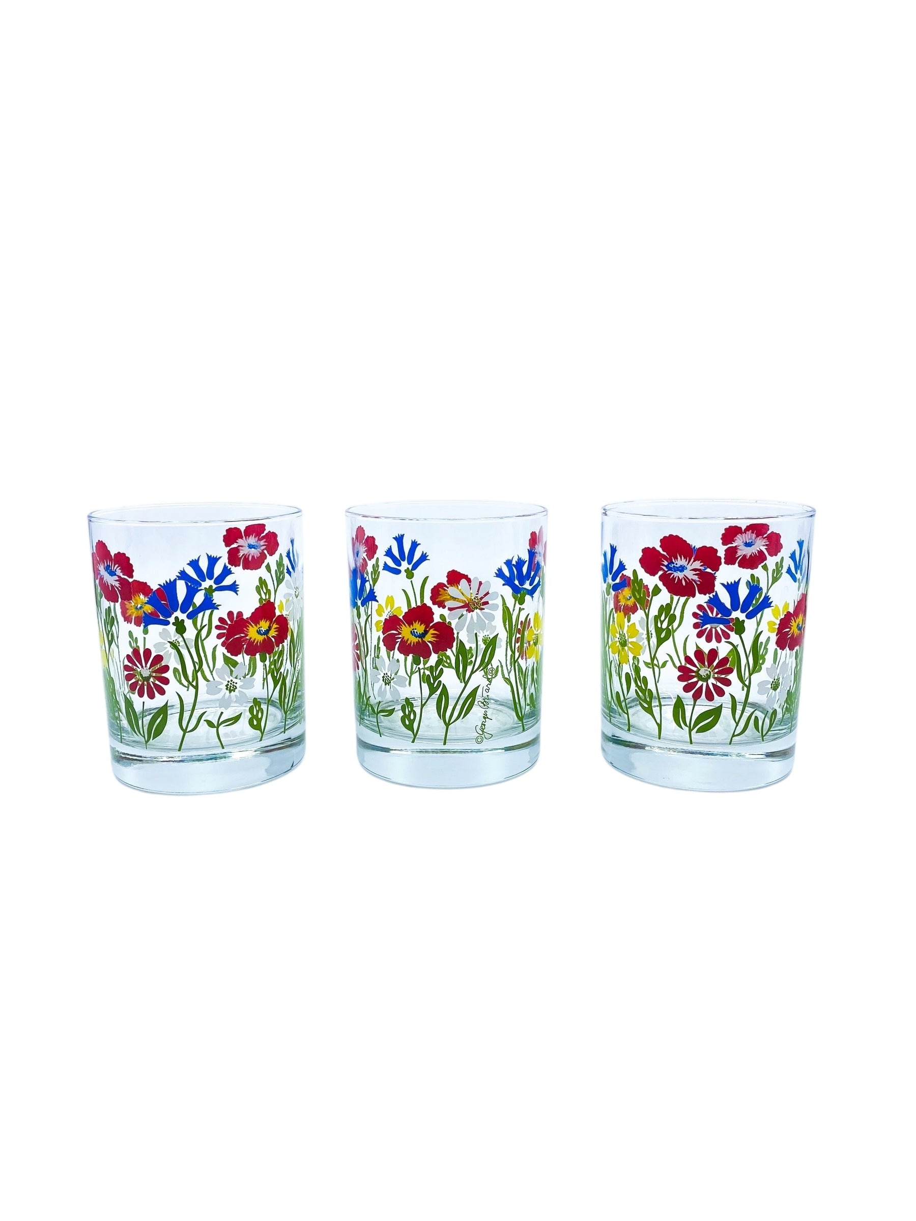 Georges Briard Red Vinyl & Floral Glasses