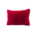 Vintage Christmas “He Knows Where You’ve Been Sleeping” Needlepoint Pillow