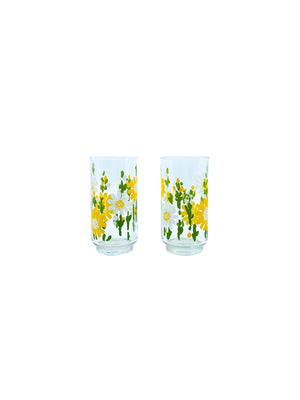 Vintage Libbey Daisy Glasses, Pair