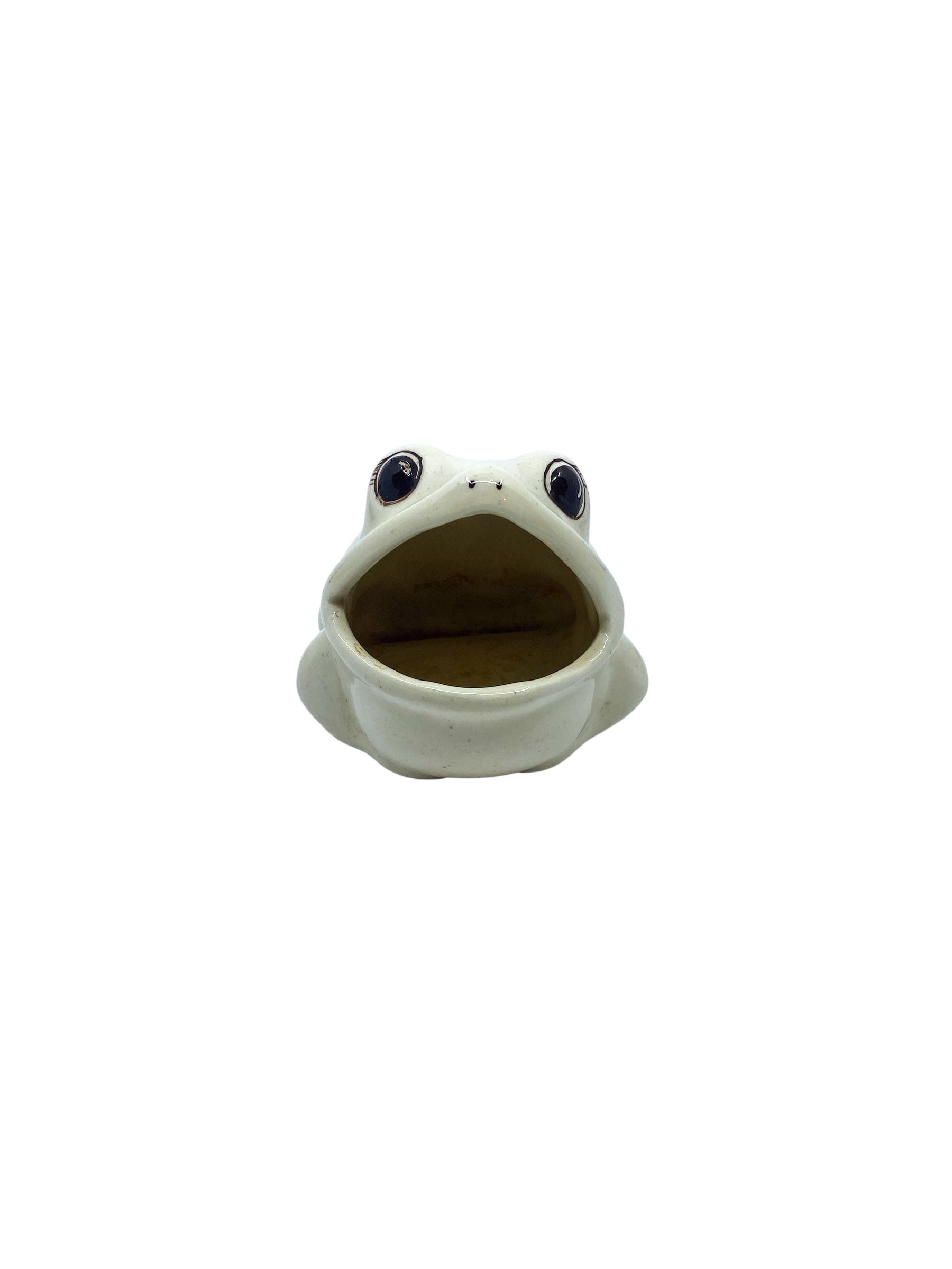 Vintage Ceramic Frog Sponge Holder