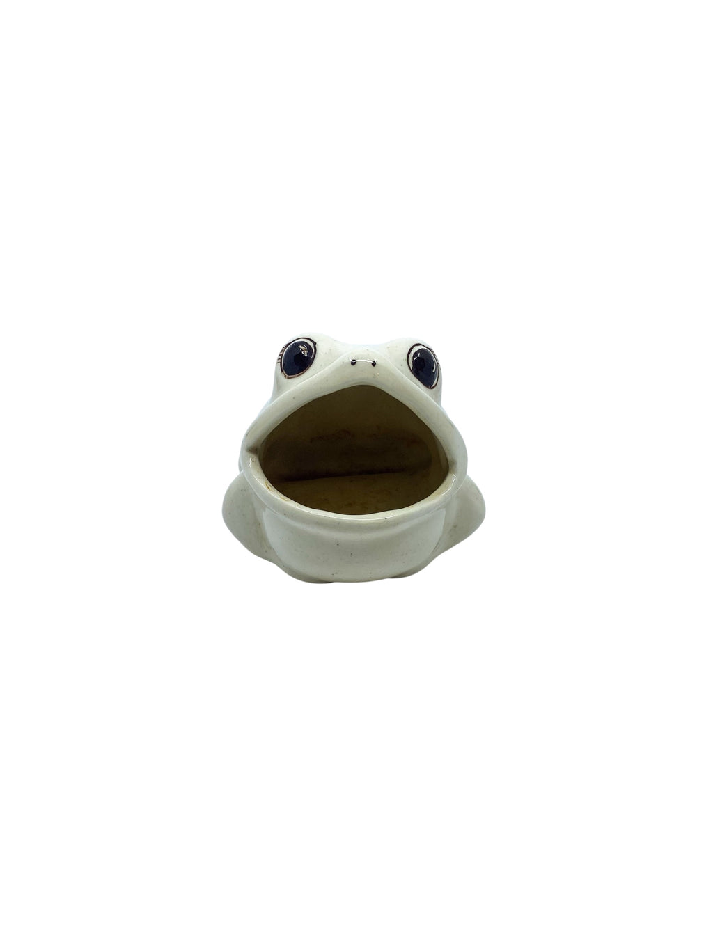 Vintage Ceramic Frog Sponge Holder