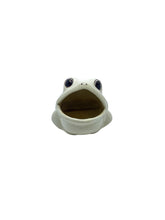 Vintage Ceramic Frog Sponge Holder
