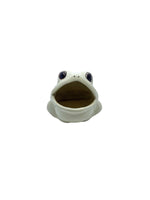 Vintage Ceramic Frog Sponge Holder