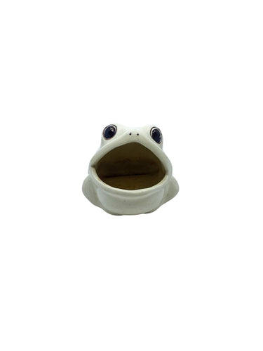 Vintage Ceramic Frog Sponge Holder