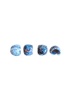 Cypraea Tigris Shell Napkin Rings