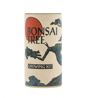 Cherry Blossom: Bonsai Tree Growing Kit