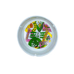 Vintage North/South Carolina Souvenir Ashtray