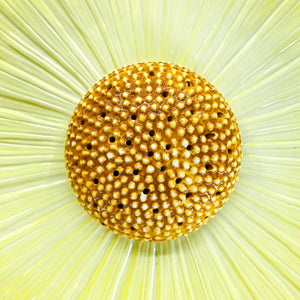 Antique Sunflower Serving Platter, Made in Italy by Bonwit Teller