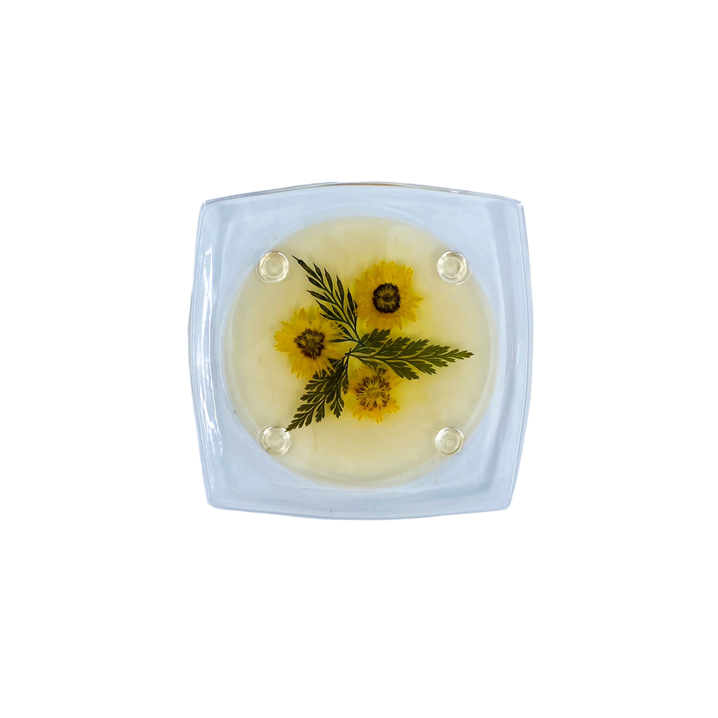 Pressed Flower Acrylic Coasters, Set of 6