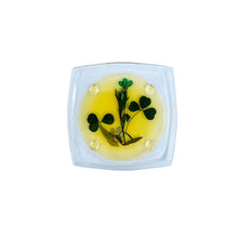 Pressed Flower Acrylic Coasters, Set of 6