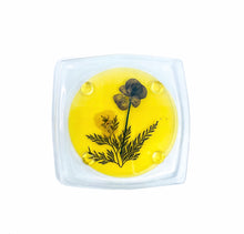 Pressed Flower Lucite Coasters, Set of 6