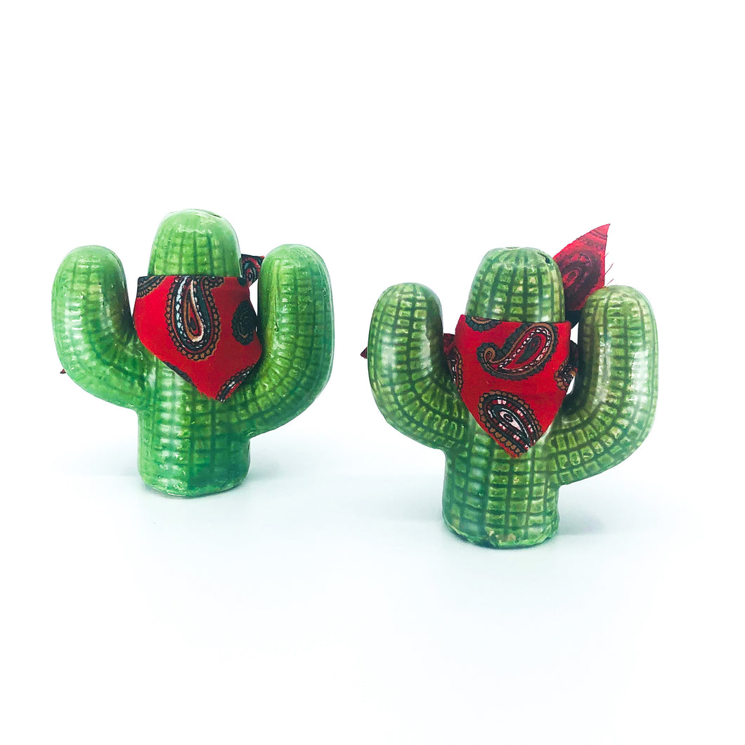 Vintage Pair of Cacti with Bandanas, Salt & Pepper Shaker