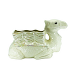Iridescent Camel Poter