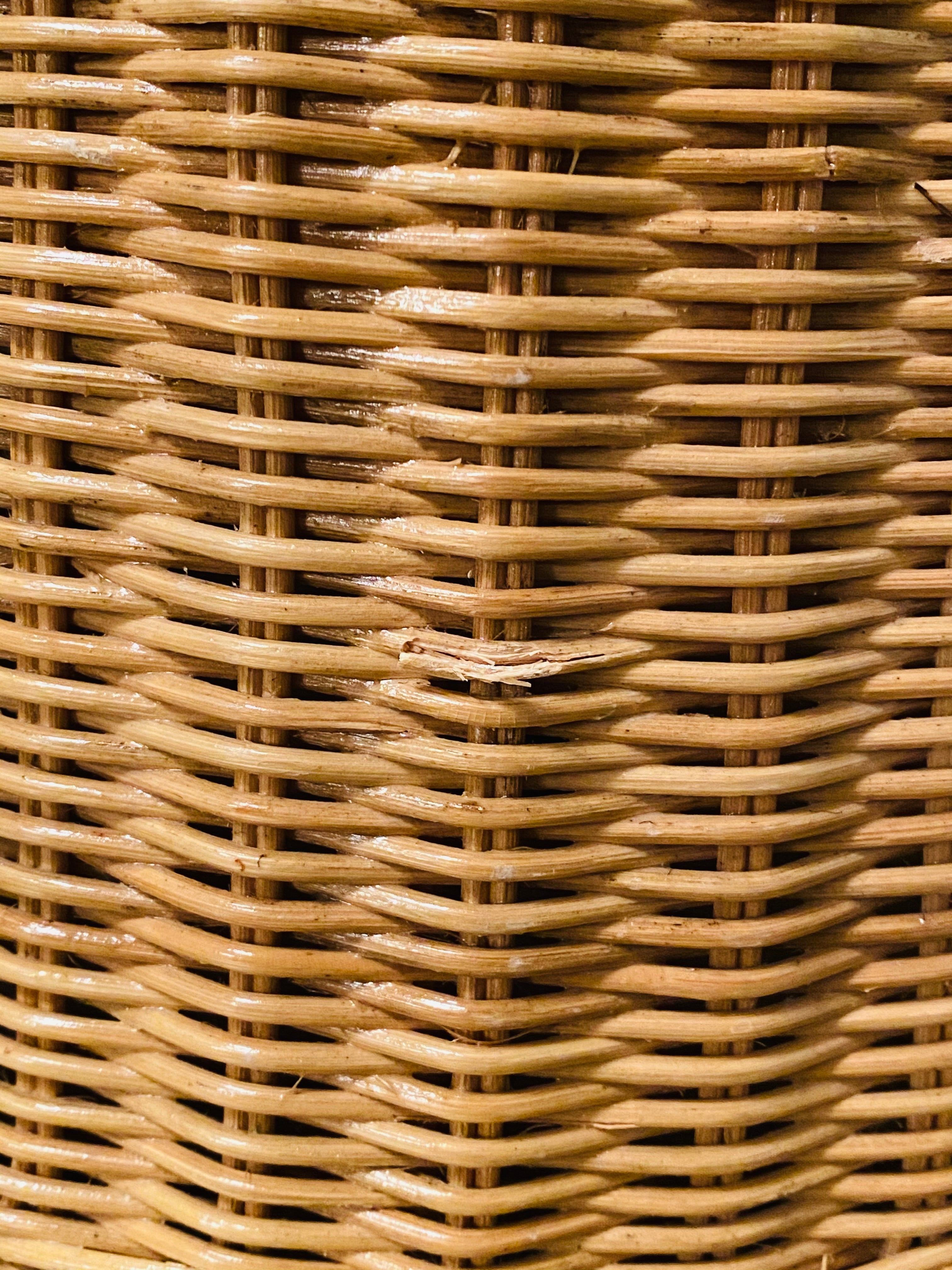 Women’s Life Size Wicker Bust