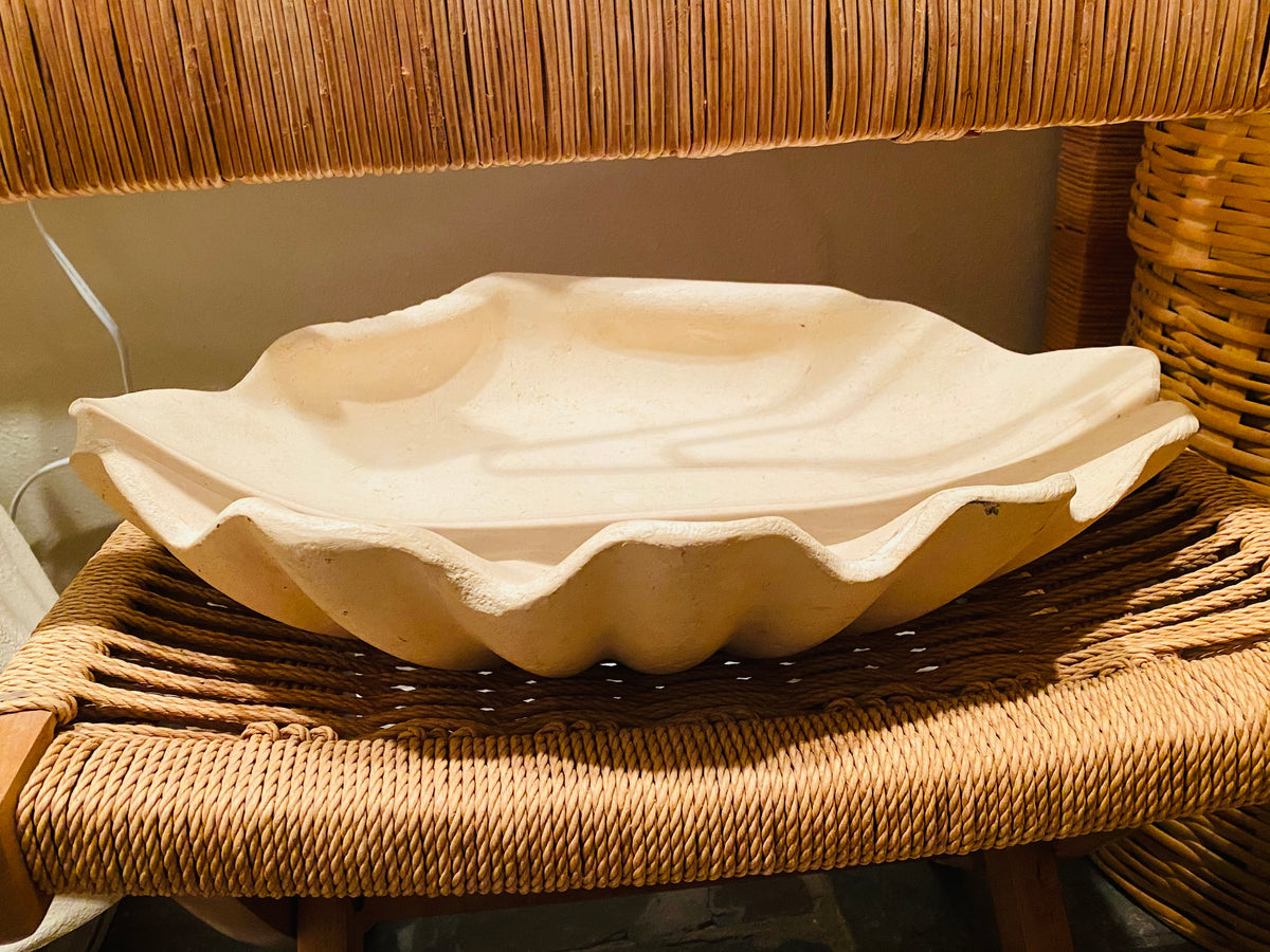 Large Plaster Shell – The Thriftocrat