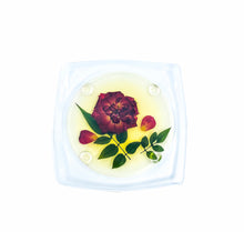 Pressed Flower Lucite Coasters, Set of 6