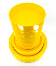 Ingrid Ltd. Yellow Plate & Bowl Set