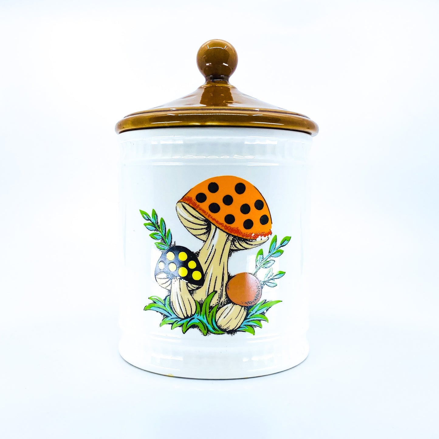 Vintage 1982 Mushroom Jar / Stowaway