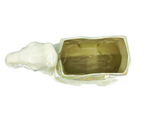 Iridescent Camel Poter