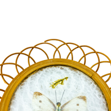 Vintage Butterfly Wicker Coaster Set