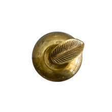 Solid Brass Apple