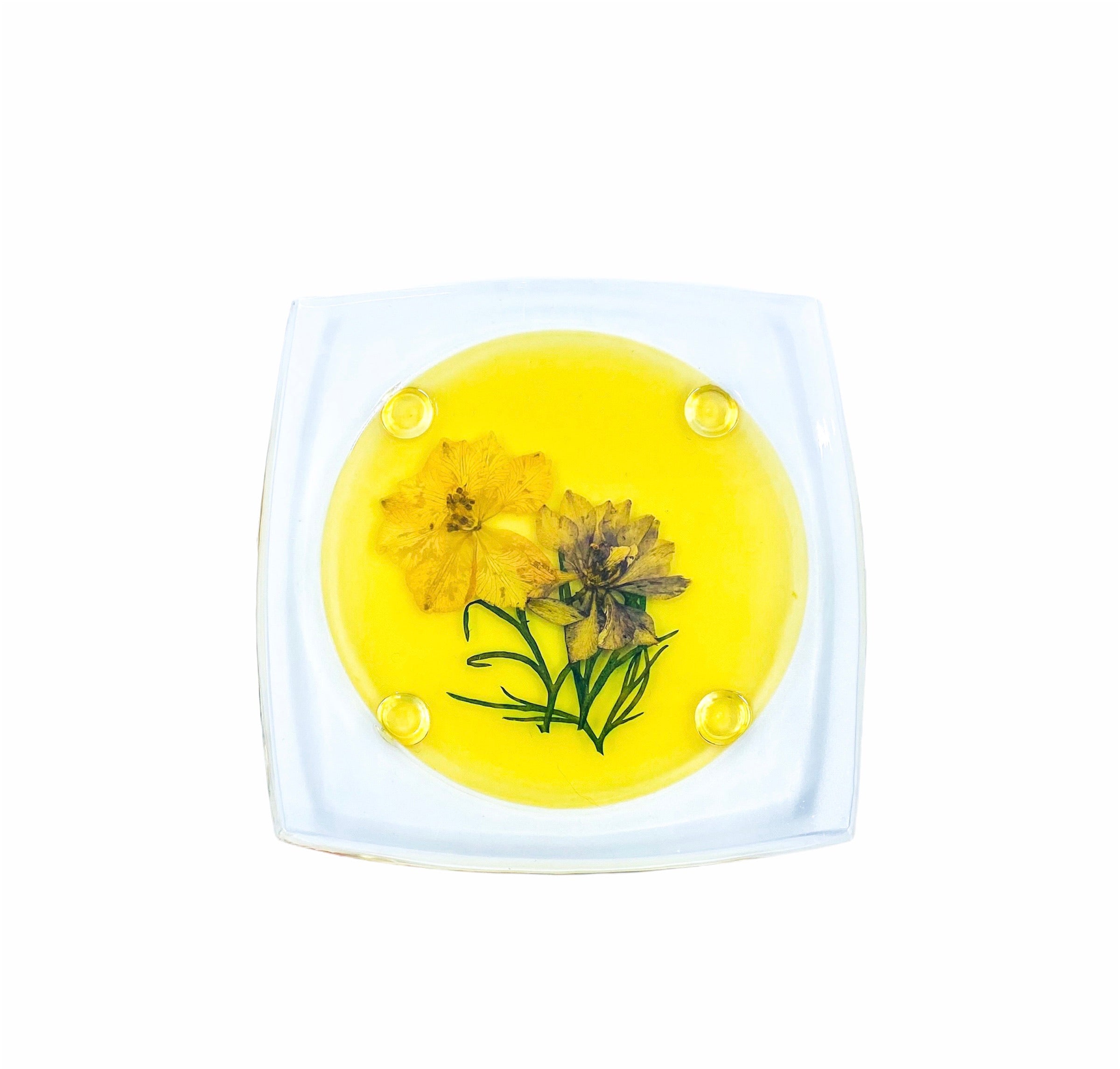 Pressed Flower Lucite Coasters, Set of 6