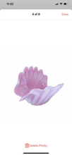 1950s Archimede Seguso Murano Glass Pink Clam Shell - Local Pick Up Only