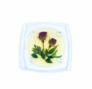 Pressed Flower Lucite Coasters, Set of 6