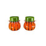 Vintage Flower Power Salt & Pepper Shakers