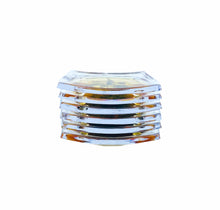 Pressed Flower Lucite Coasters, Set of 6