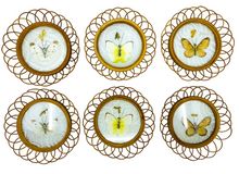 Vintage Butterfly Wicker Coaster Set