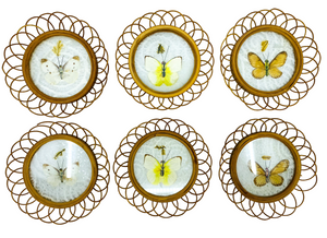 Vintage Butterfly Wicker Coaster Set