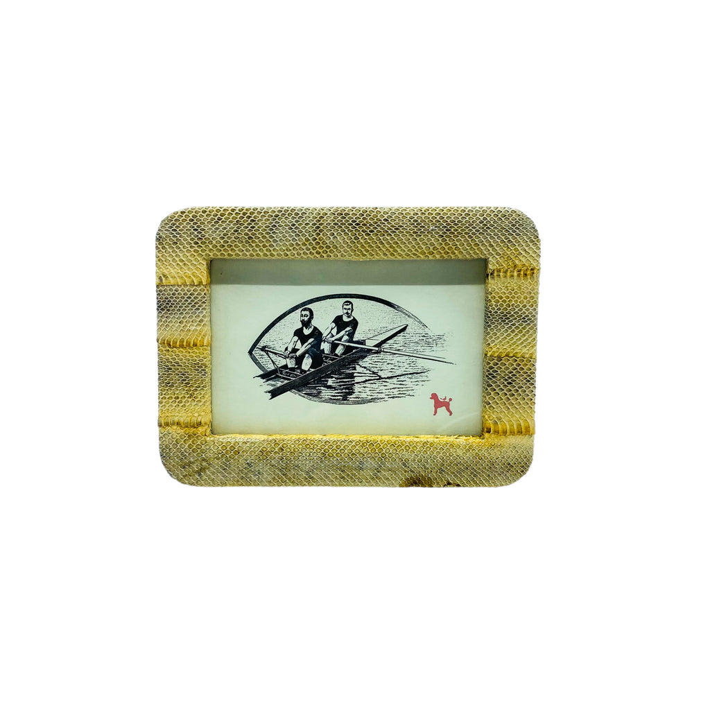 Pigeon & Poodle Snakeskin Frame